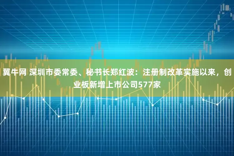 翼牛网 深圳市委常委、秘书长郑红波：注册制改革实施以来，创业板新增上市公司577家