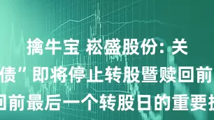 擒牛宝 崧盛股份: 关于“崧盛转债”即将停止转股暨赎回前最后一个转股日的重要提示性公告